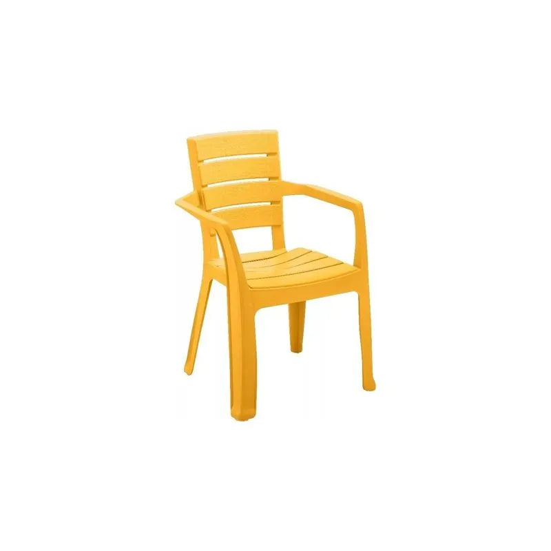 Juego de 4 Sillas Con Brazo Barú Rimax